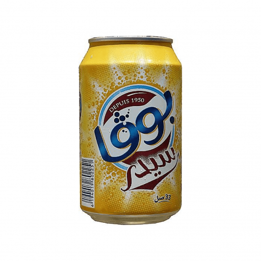 [6194019602424] CARTON BOGA CIDRE 240ML X 24 UNITÉS
